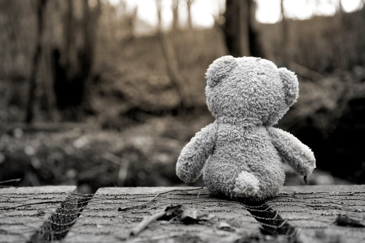 Брошенный мишка