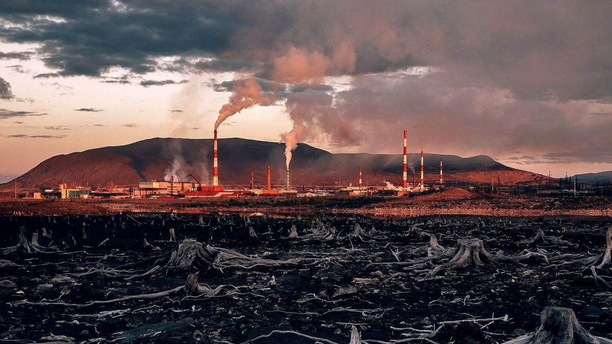 Экологические катастрофы 2021 года