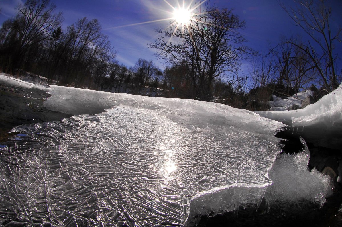 Гололед в природе