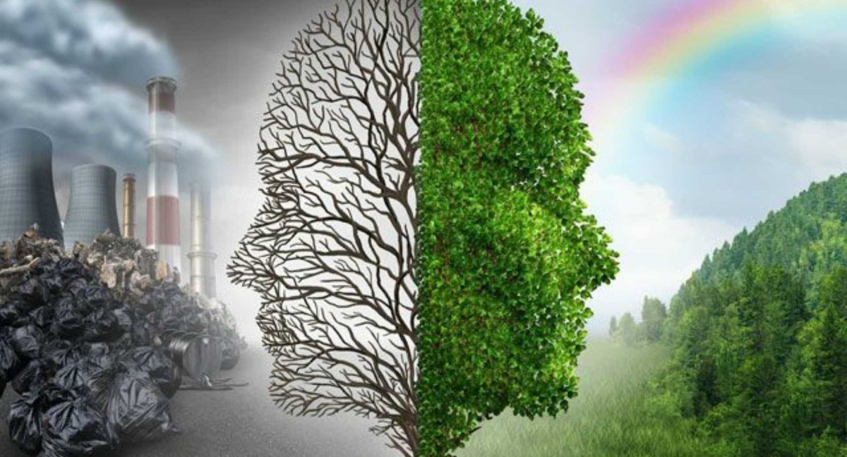 Разлив нефти в мексиканском заливе 2010