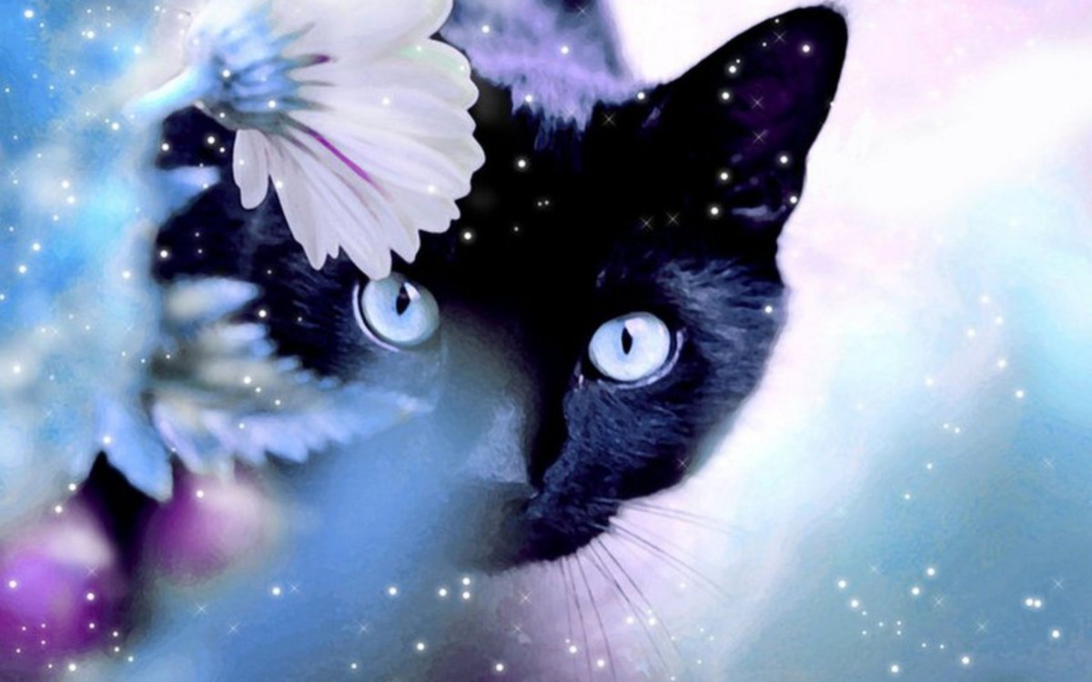 Милые котики