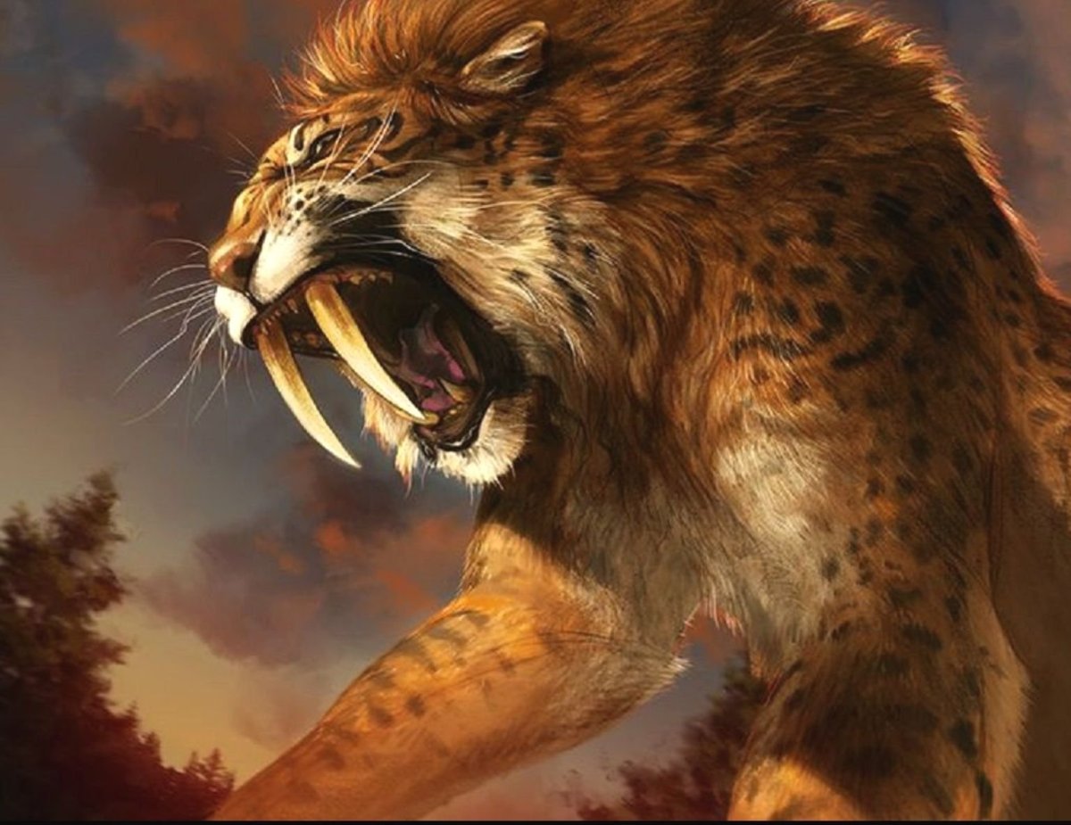 Саблезубый Лев Смилодон