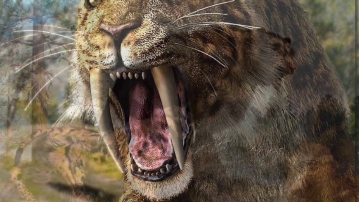 Махайрод Смилодон