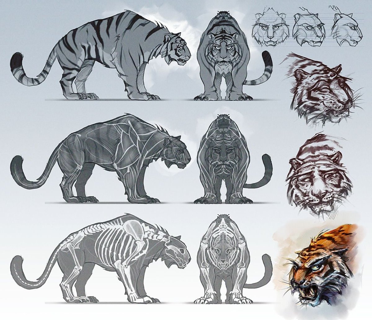 Саблезубый тигр референс