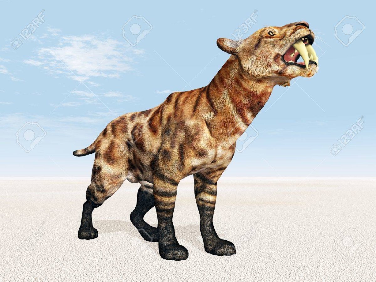 Саблезубый тигр 3д