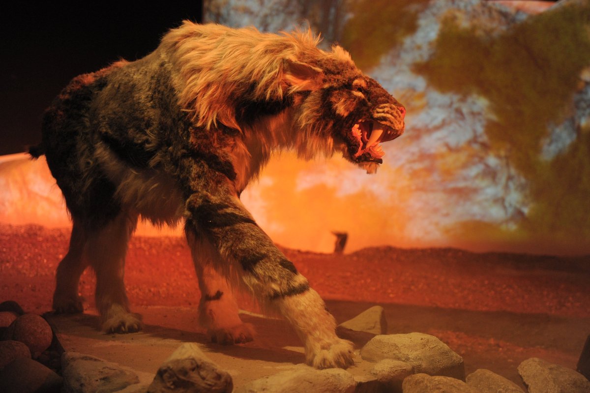 Первобытный Саблезуб