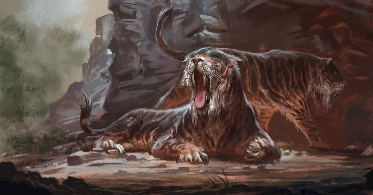 Саблезубый тигр Махайрод