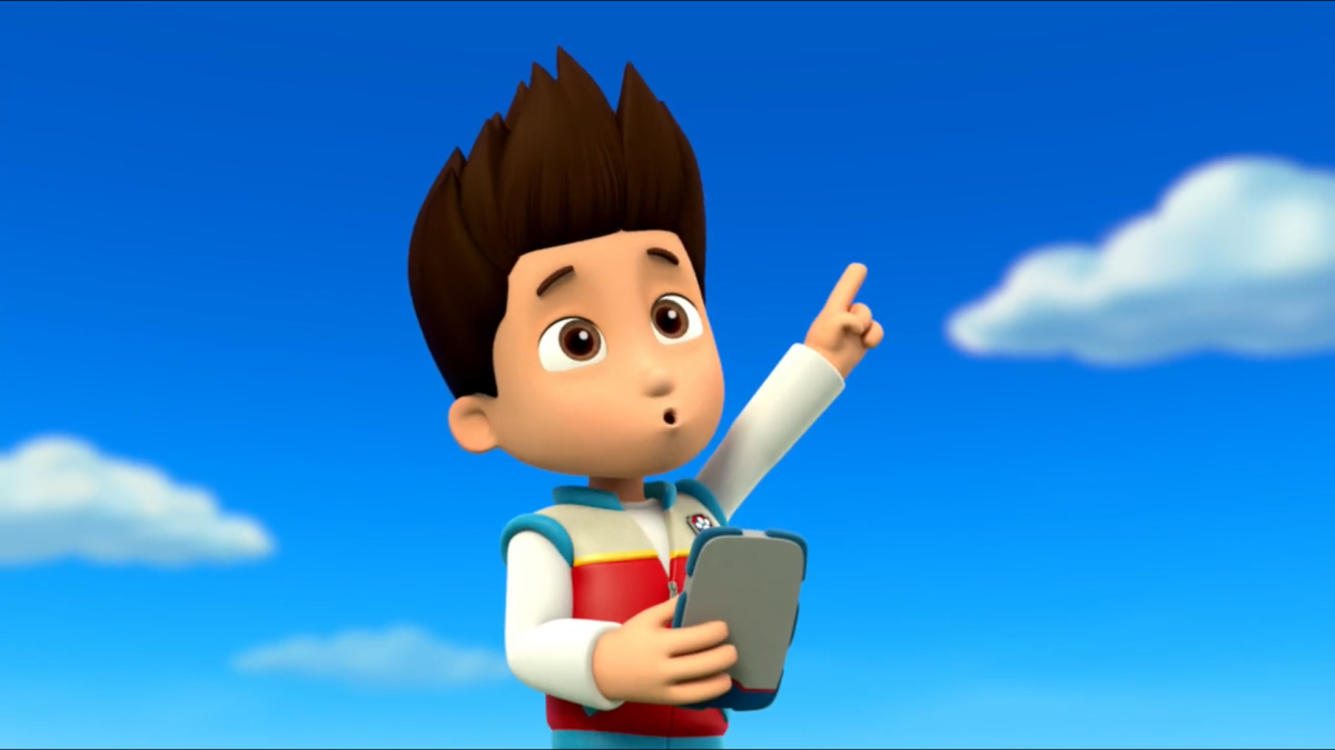 Щенячий патруль. Райдер