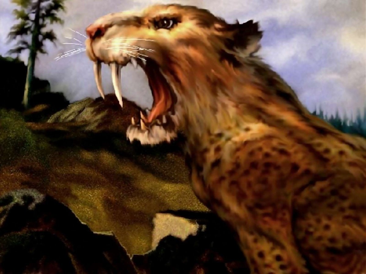 Саблезубый тигр оборотень