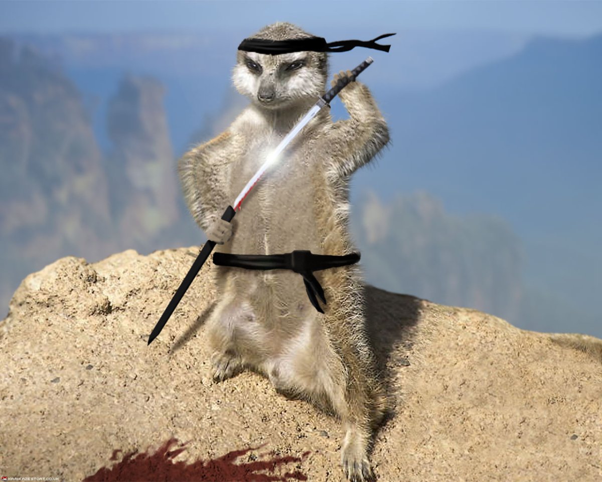 Суслик в очках