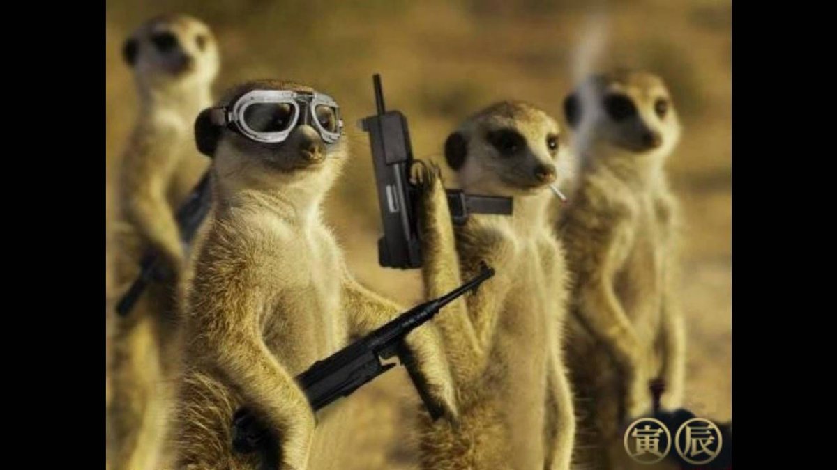 Крутой суслик