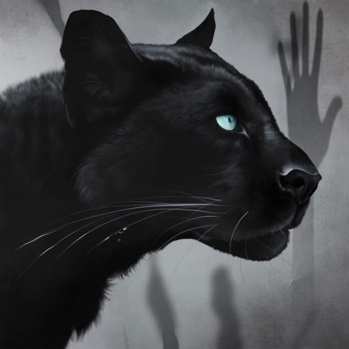 Злая пантера на черном фоне