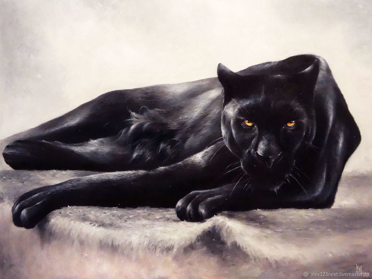 Гиф злая пантера