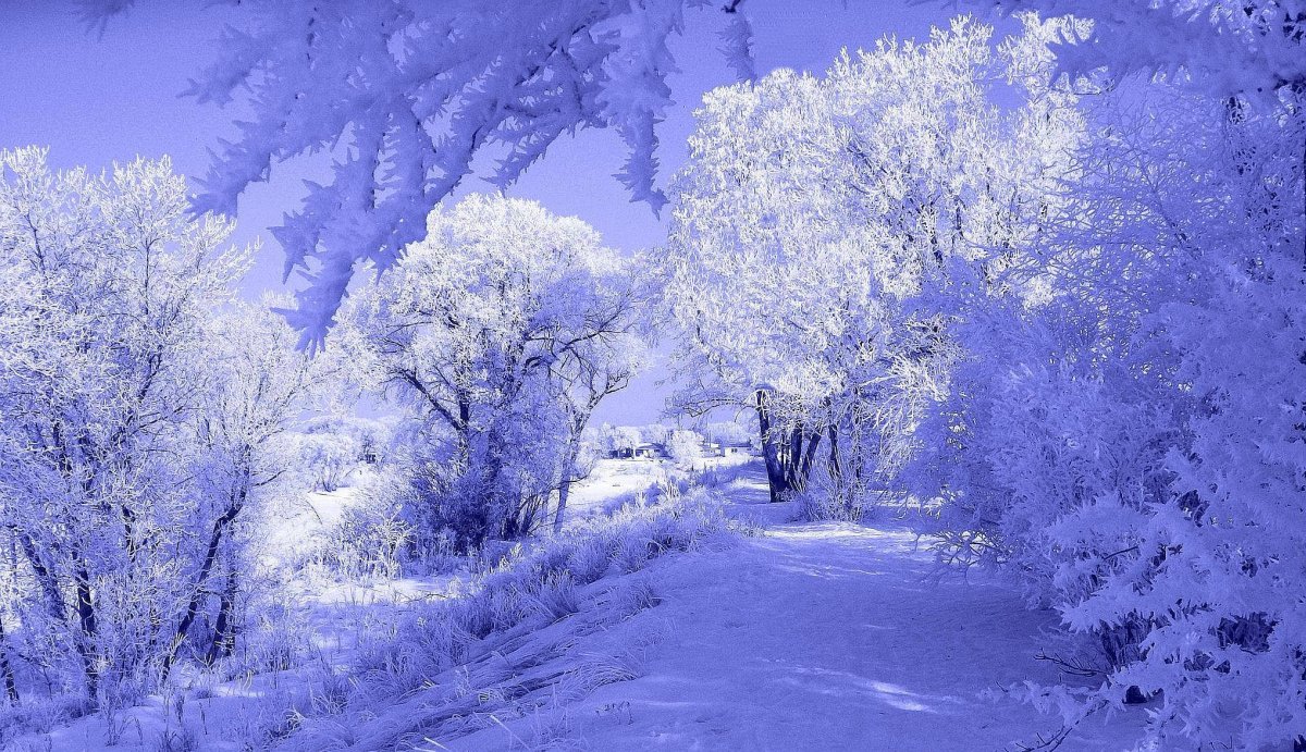 Открытки с зимней природой