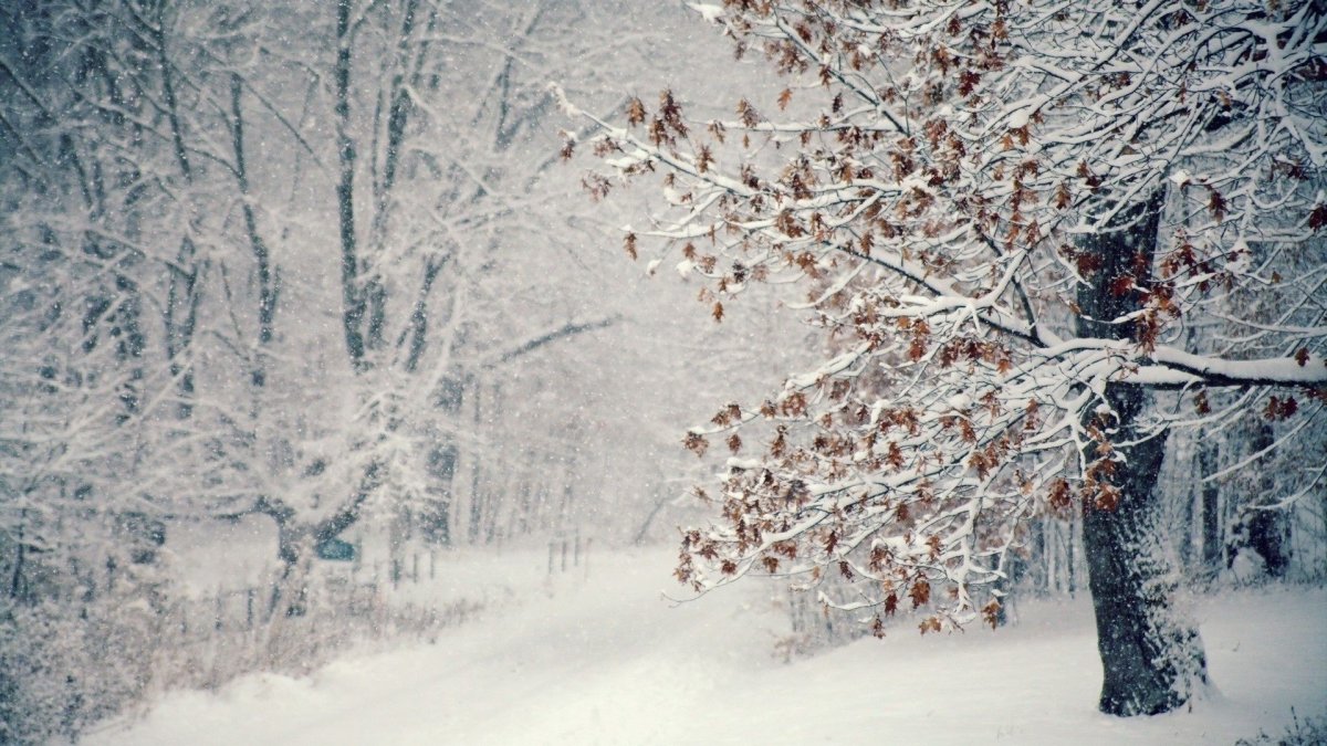 Обои Снеговик