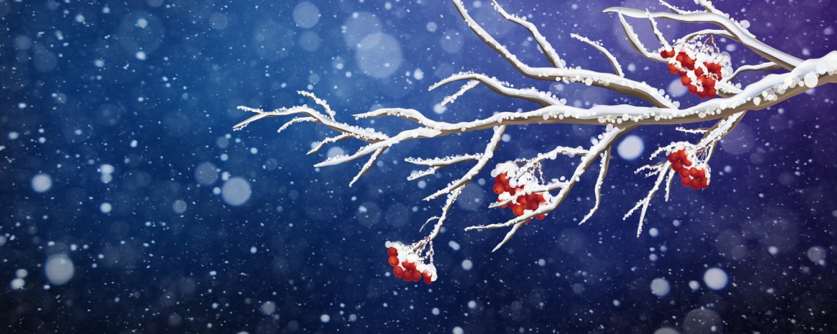 Новогодняя шапка для твиттера