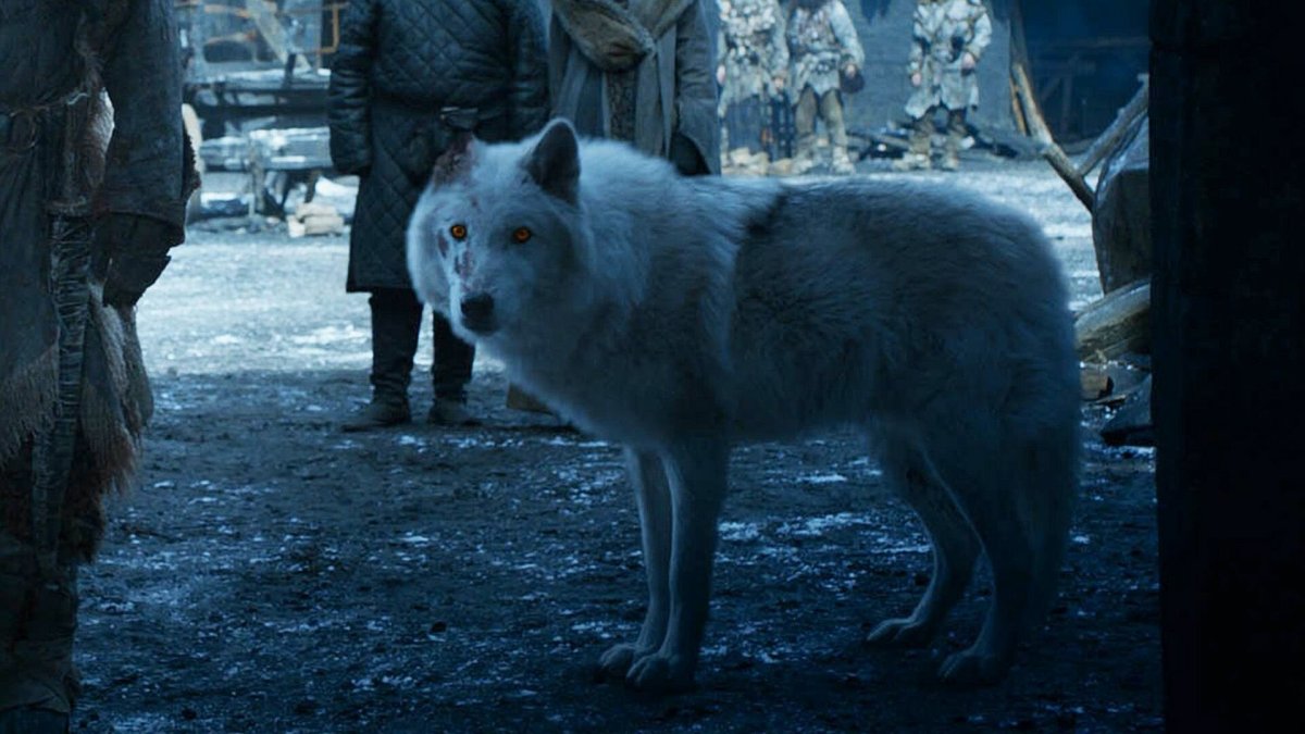 Лютоволк Джона Сноу