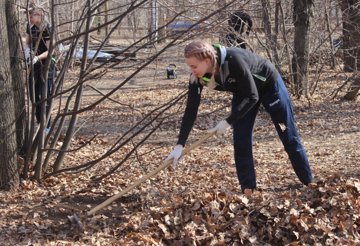 Инструменты для субботника