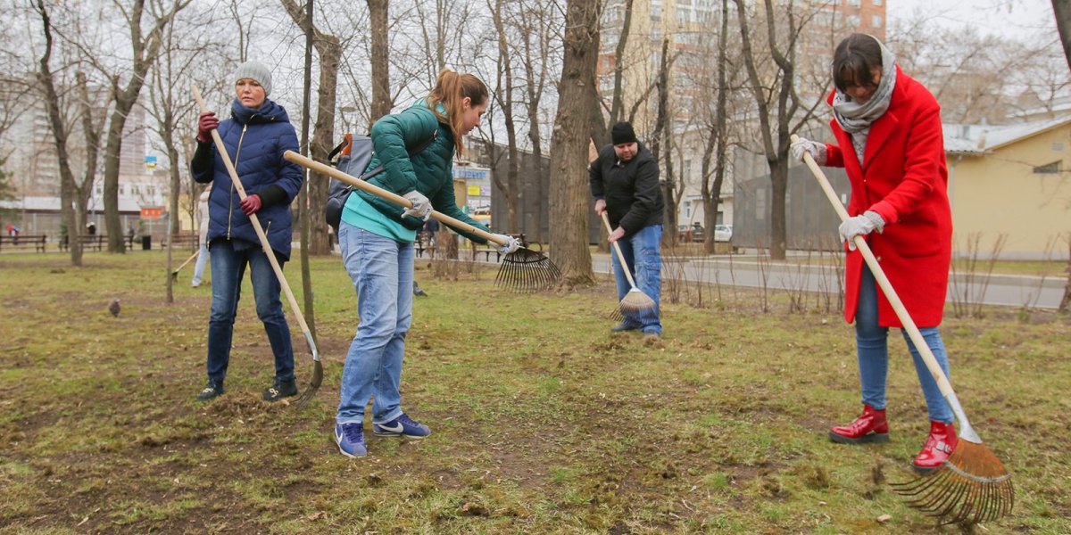 Объявляется субботник