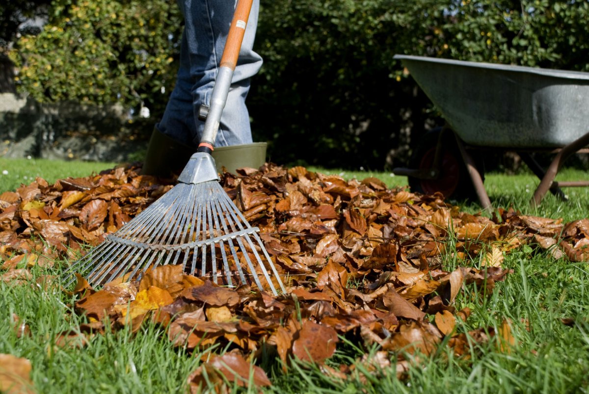 Уборка территории школы