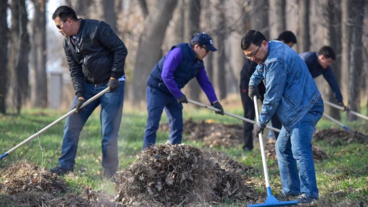 Требуется дворник