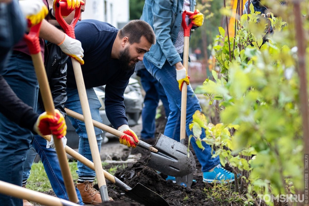 Уборка территории волонтеры