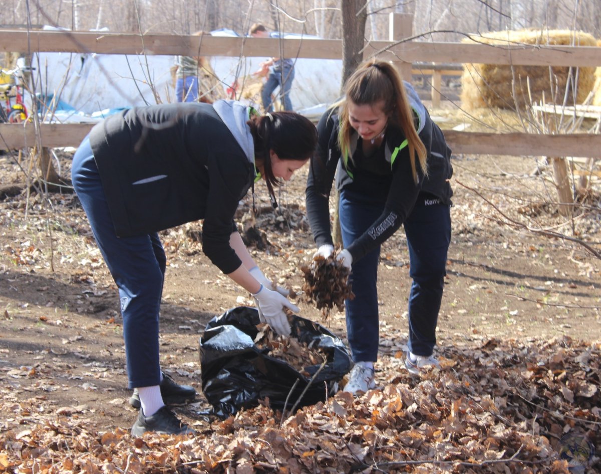 Веники для уборки территории