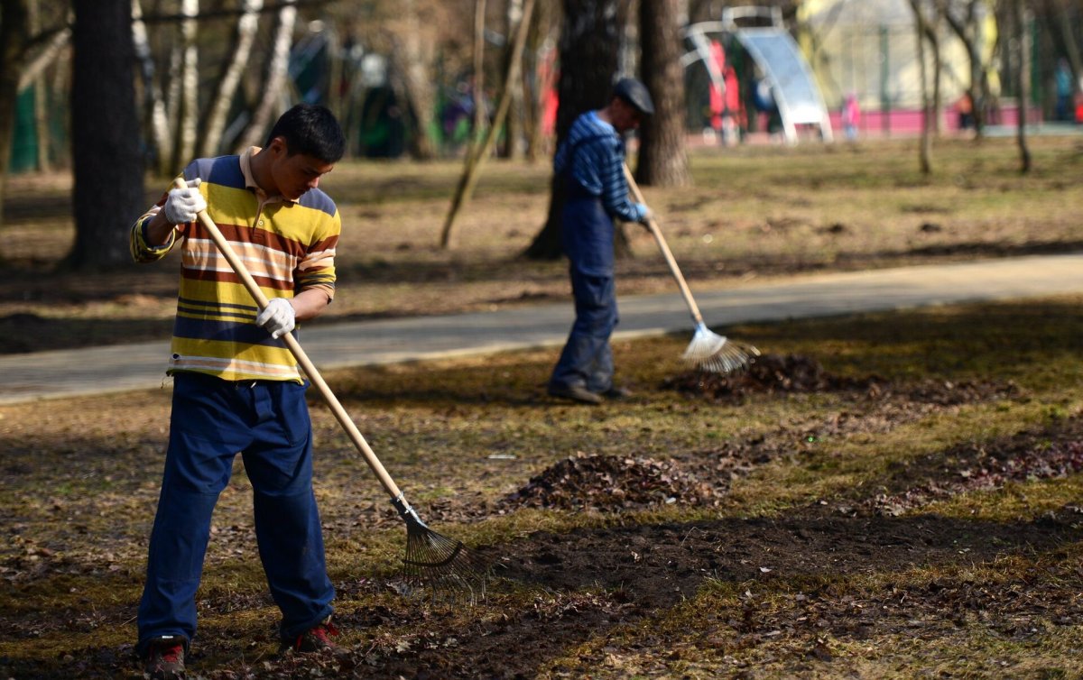 Всероссийский субботник