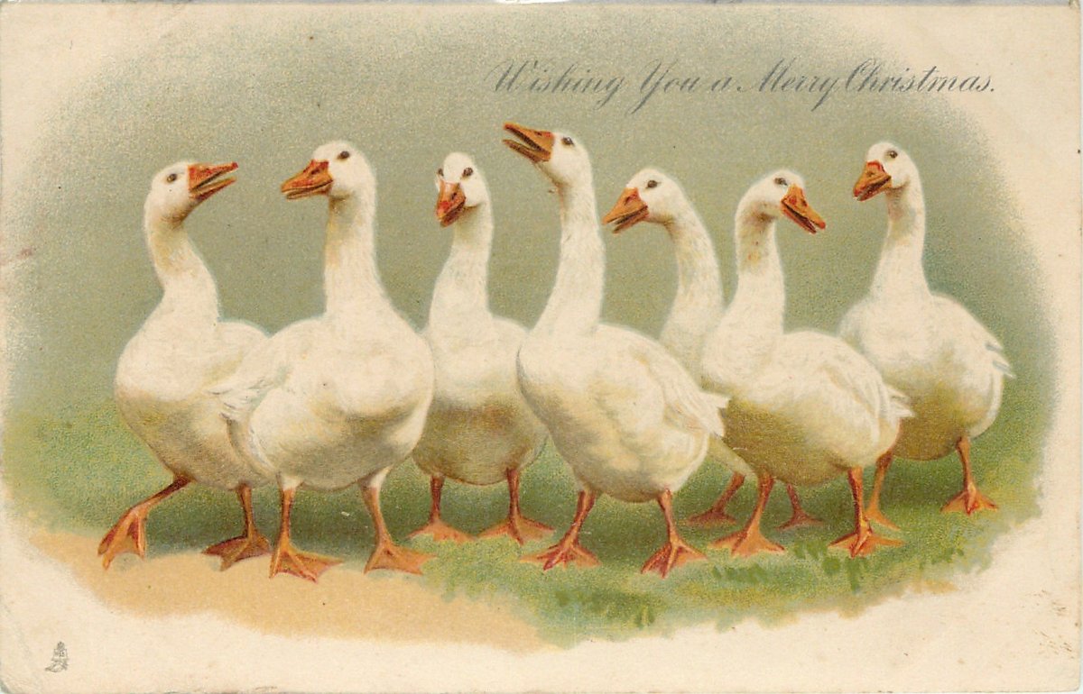 День рождения утки