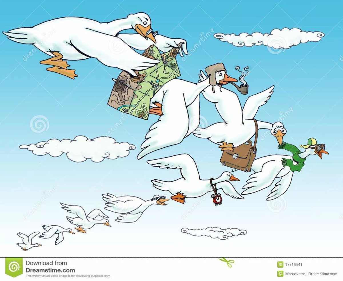 Гусь милые иллюстрации