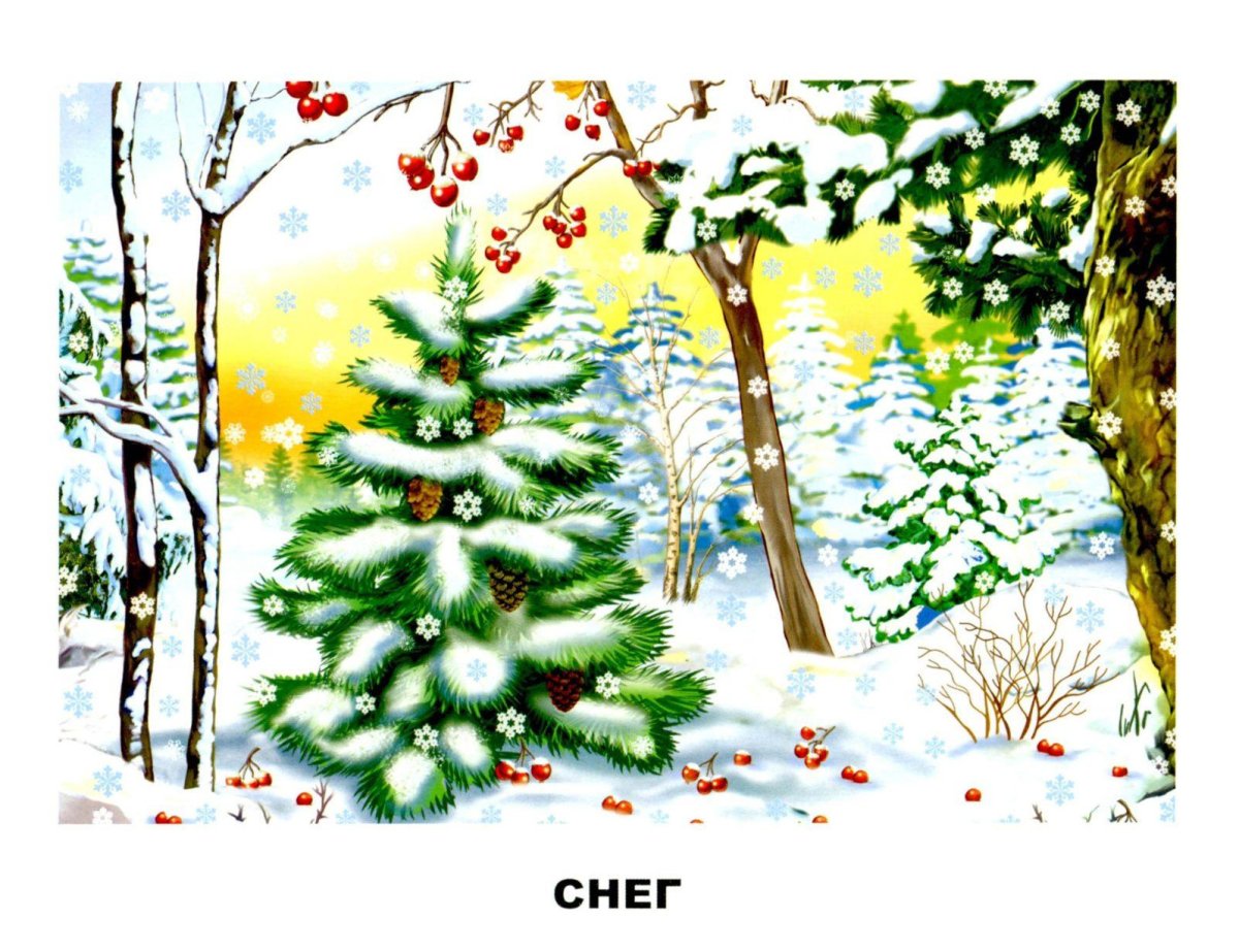 Зимующие звери