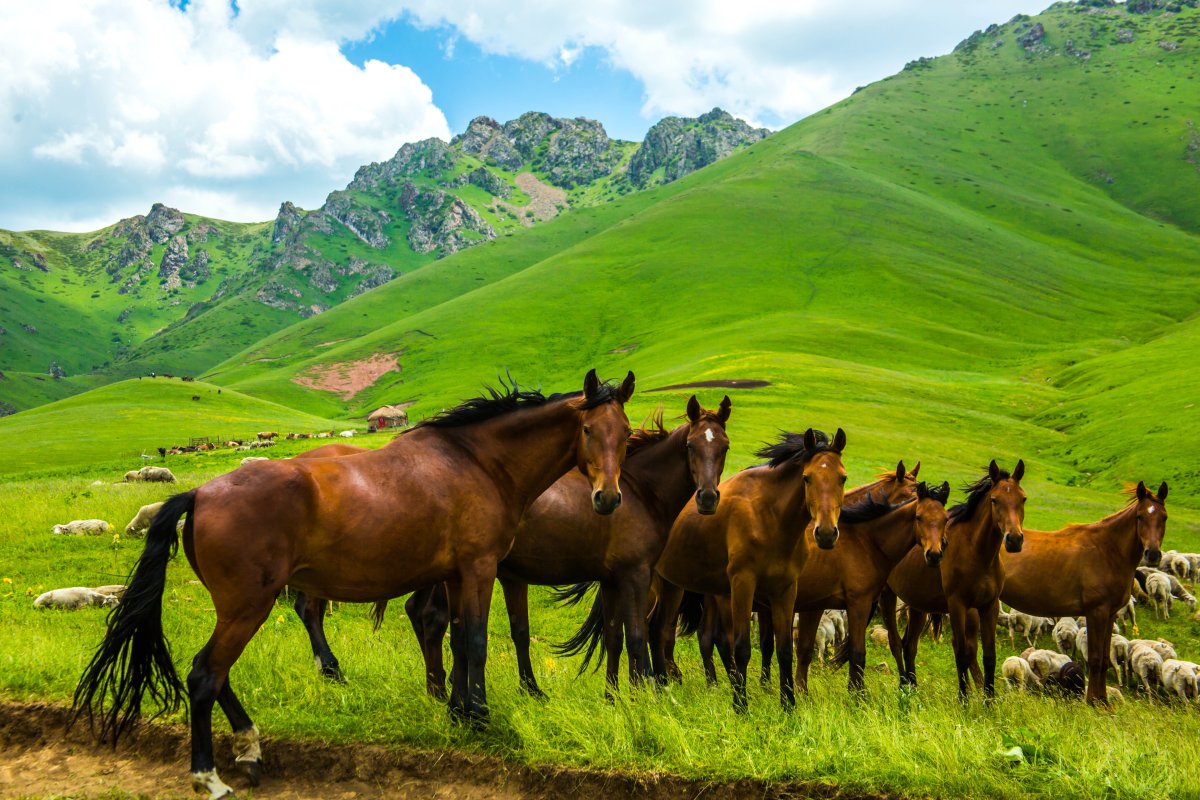 Казахстан природа