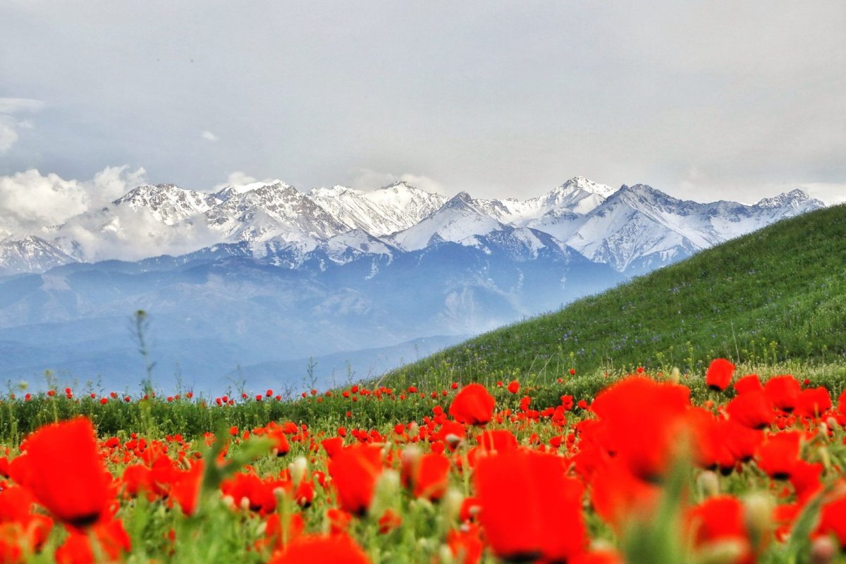 Казахстан природа