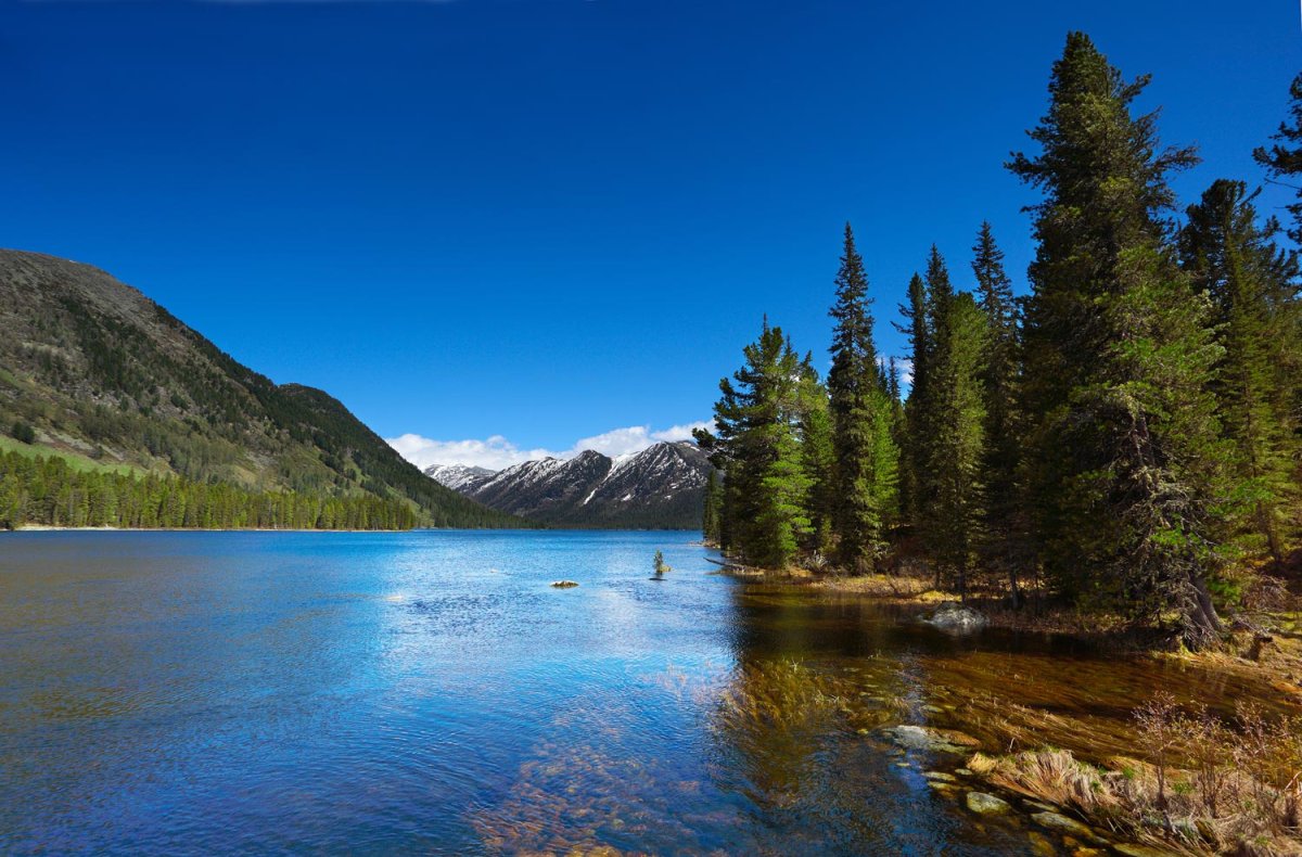 Алтай горный Маркоколь