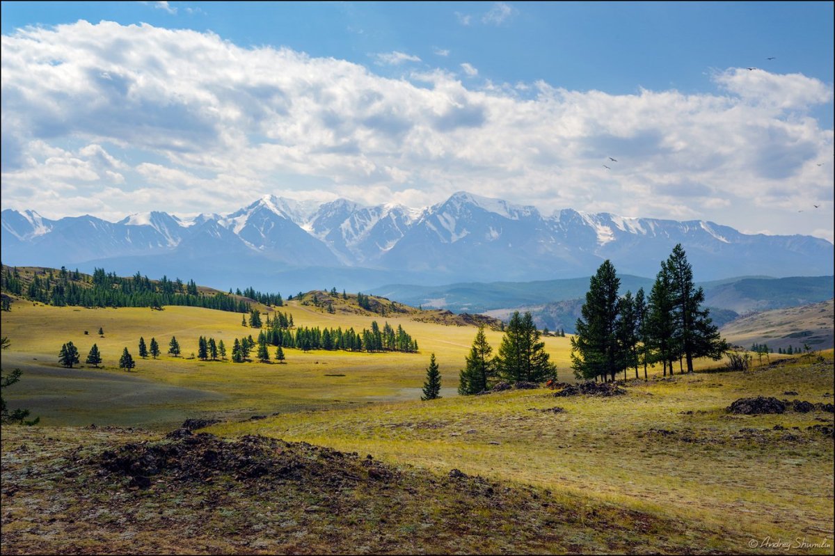 Степи горного Алтая