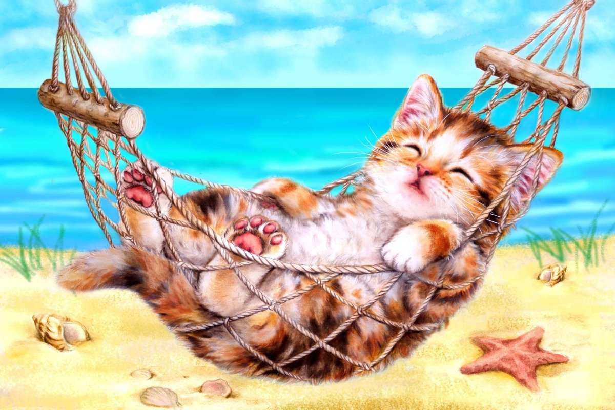 Кот лежит в гамаке