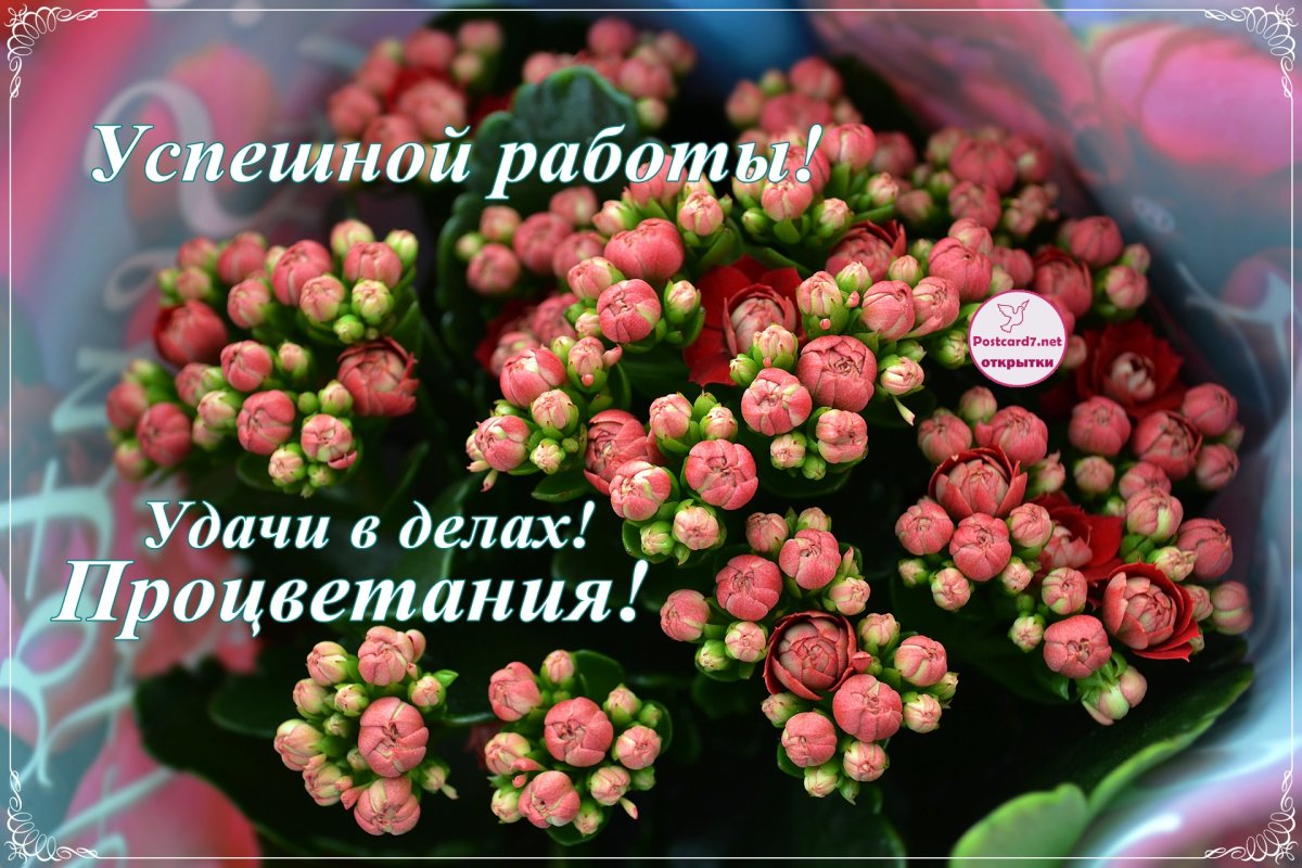 Открытки на удачу и успех