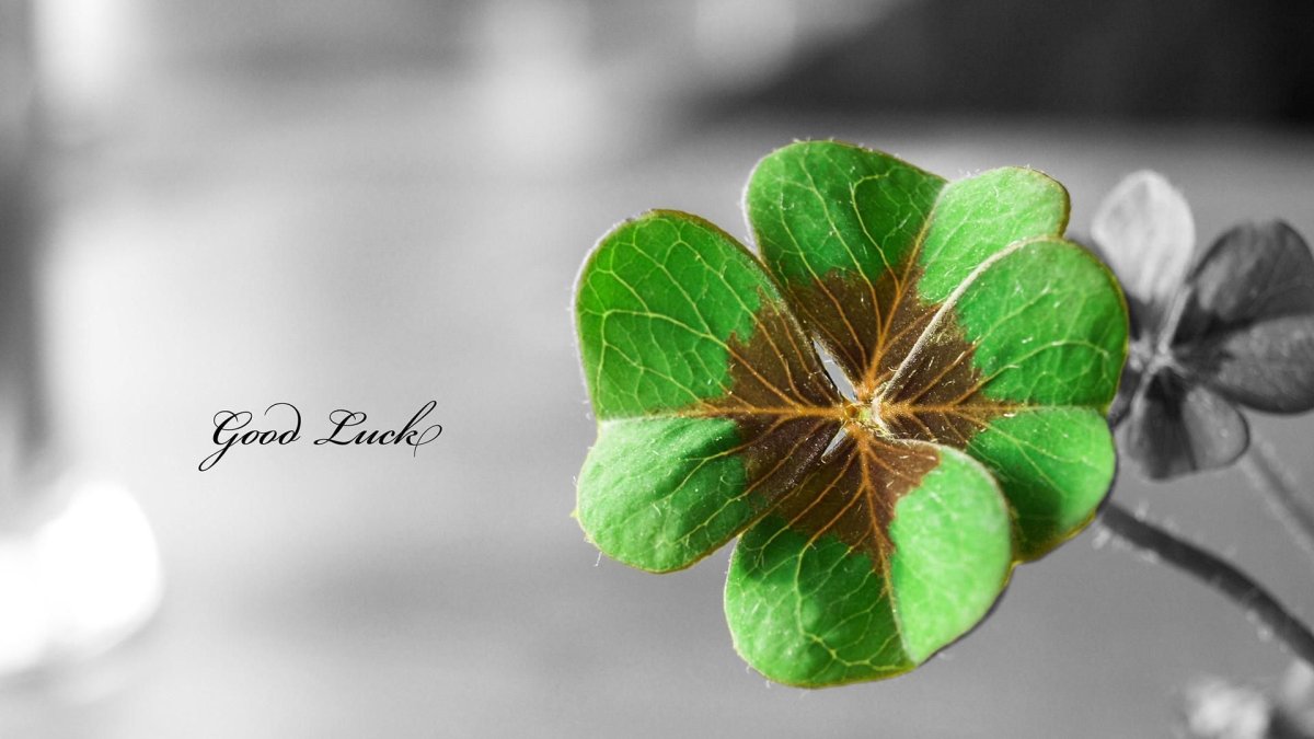 Цитаты про удачу и везение