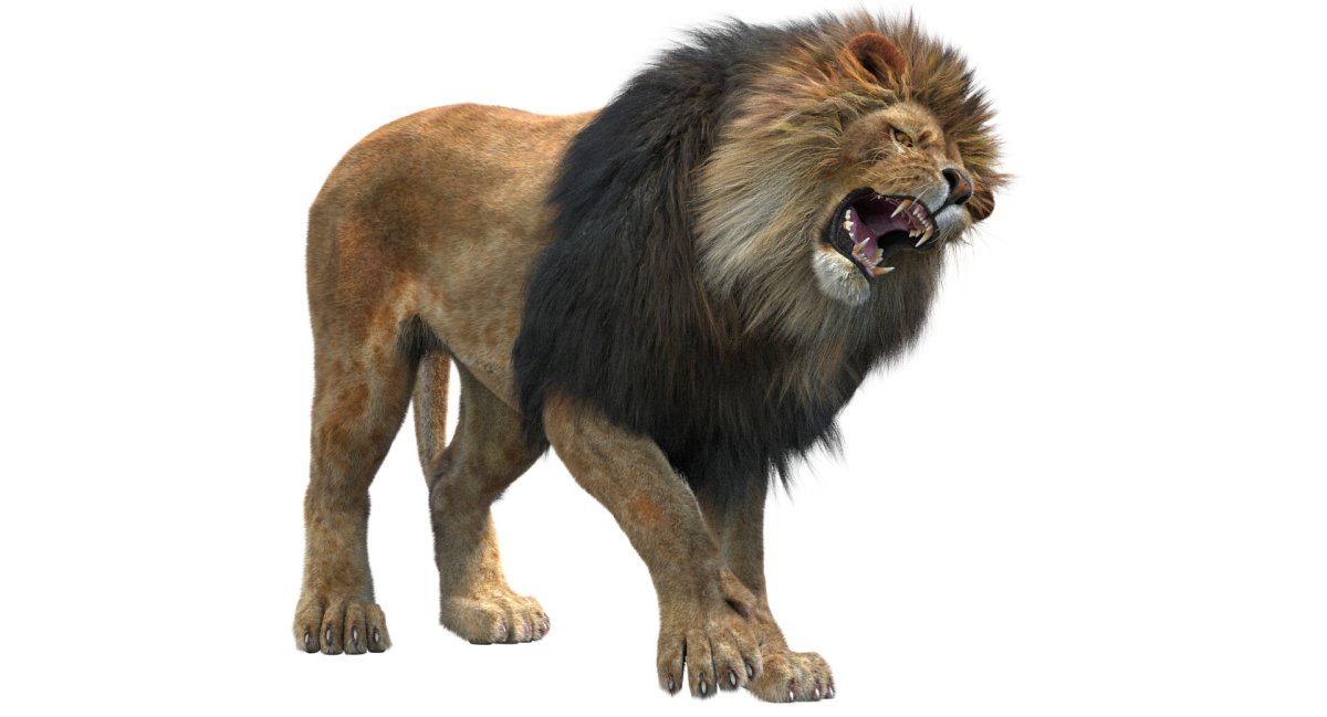 Нападающий Лев на прозрачной фоне