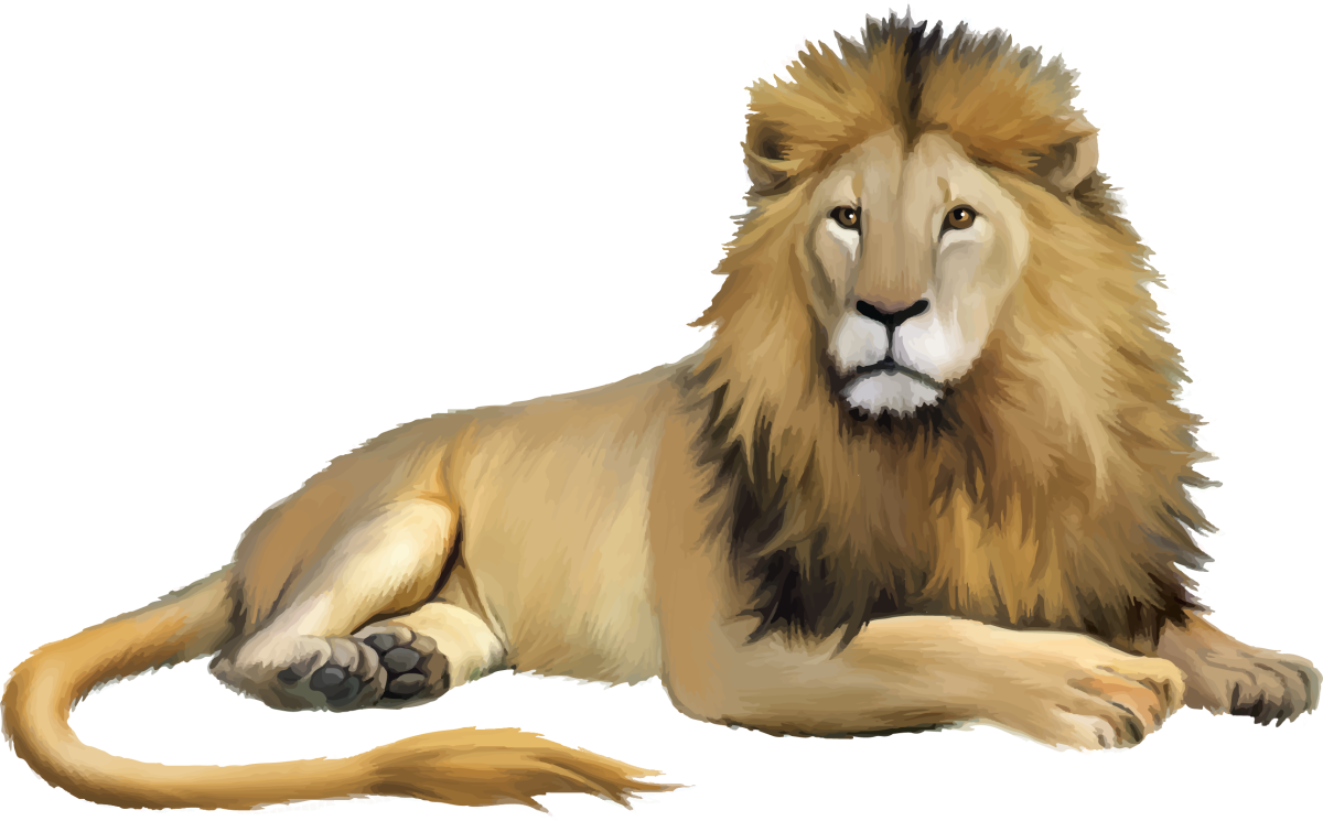 Животные на прозрачном фоне