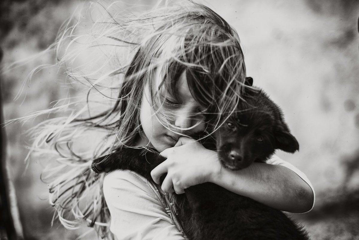 Трогательные картинки