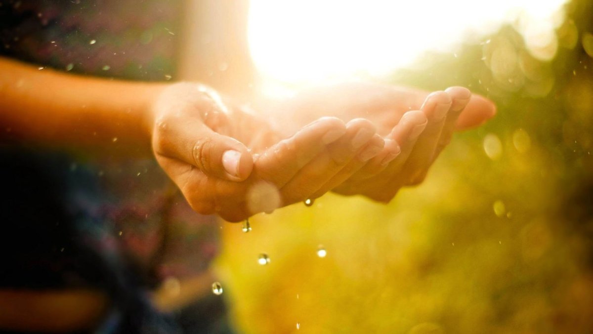 Счастье в ладошках