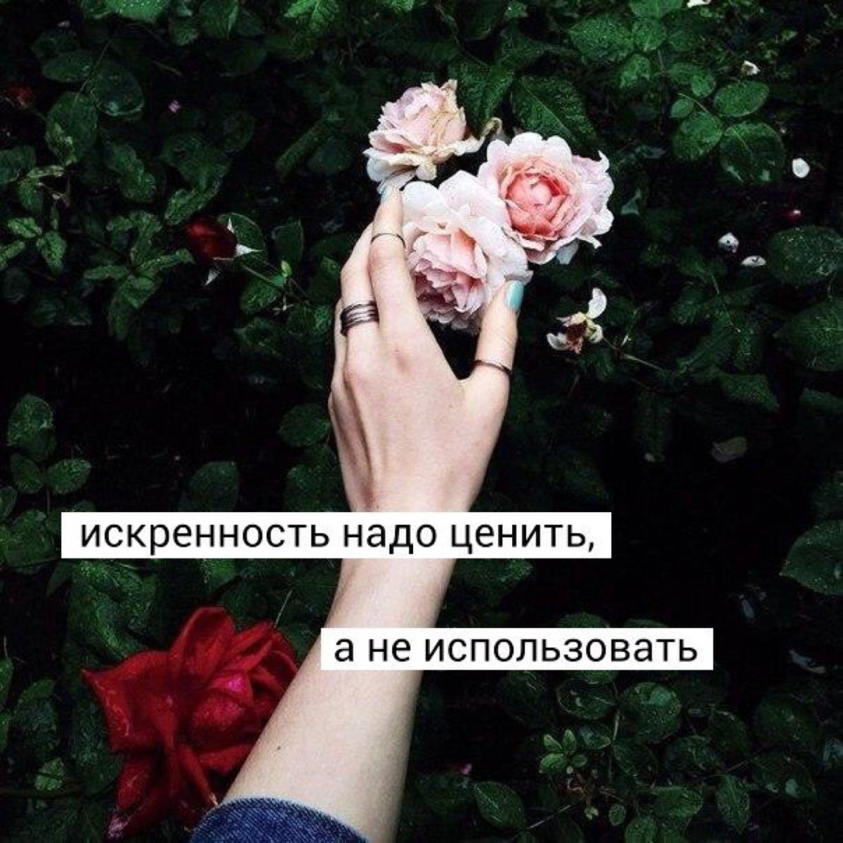 Цитаты на аватарку для девушек