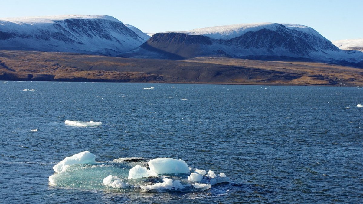 Остров Южный новая земля
