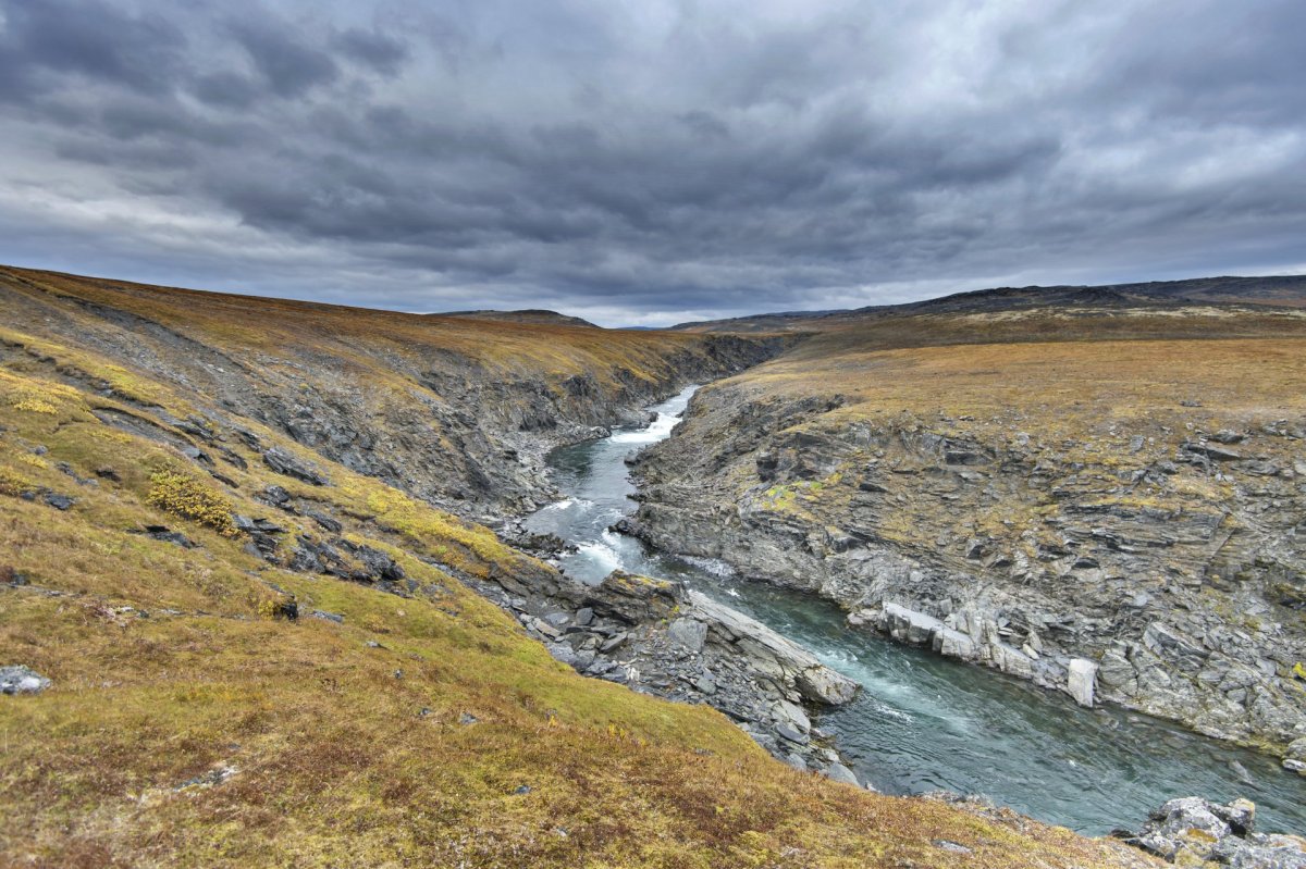 Остров новая земля