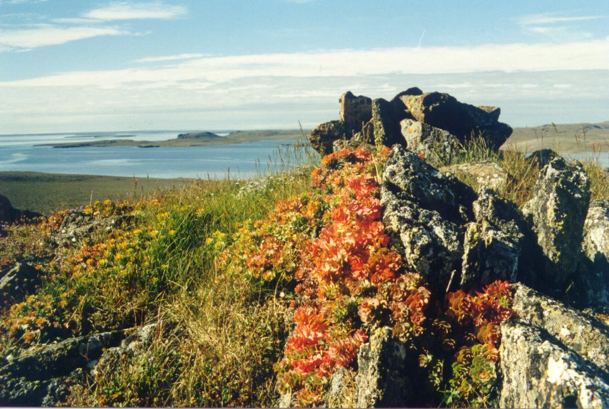 Поселок Белушья губа новая земля