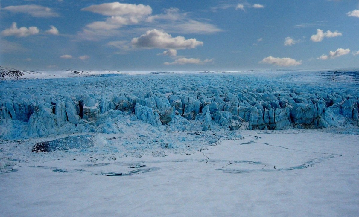 Земля Франца Иосифа растительность