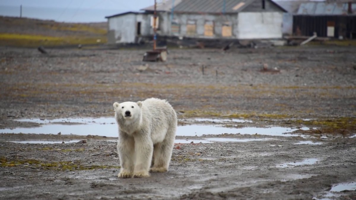 Архипелаг земля Франца-Иосифа