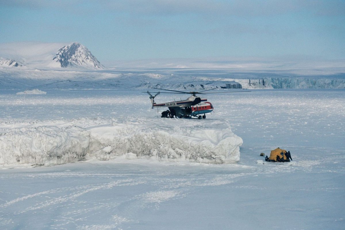 Новая земля полигон