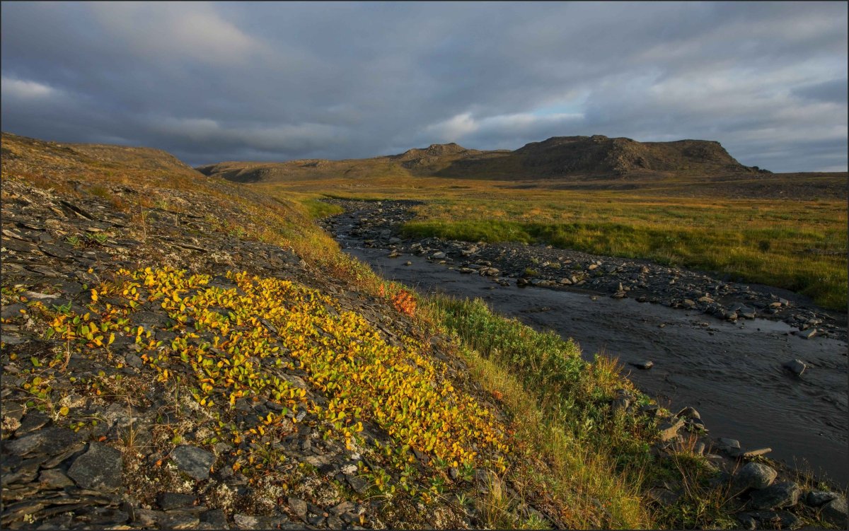 «Сухой нос» на острове новая земля